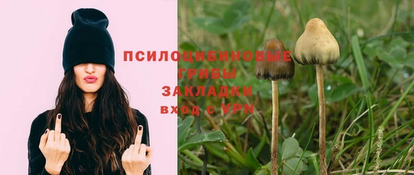 дживик Алексеевка