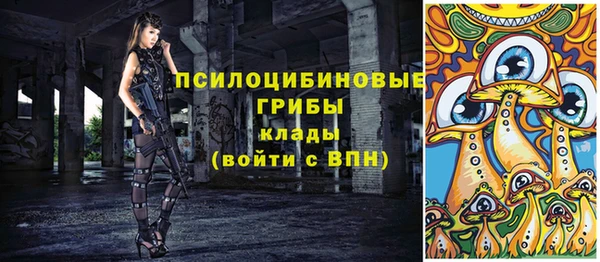 дживик Алексеевка
